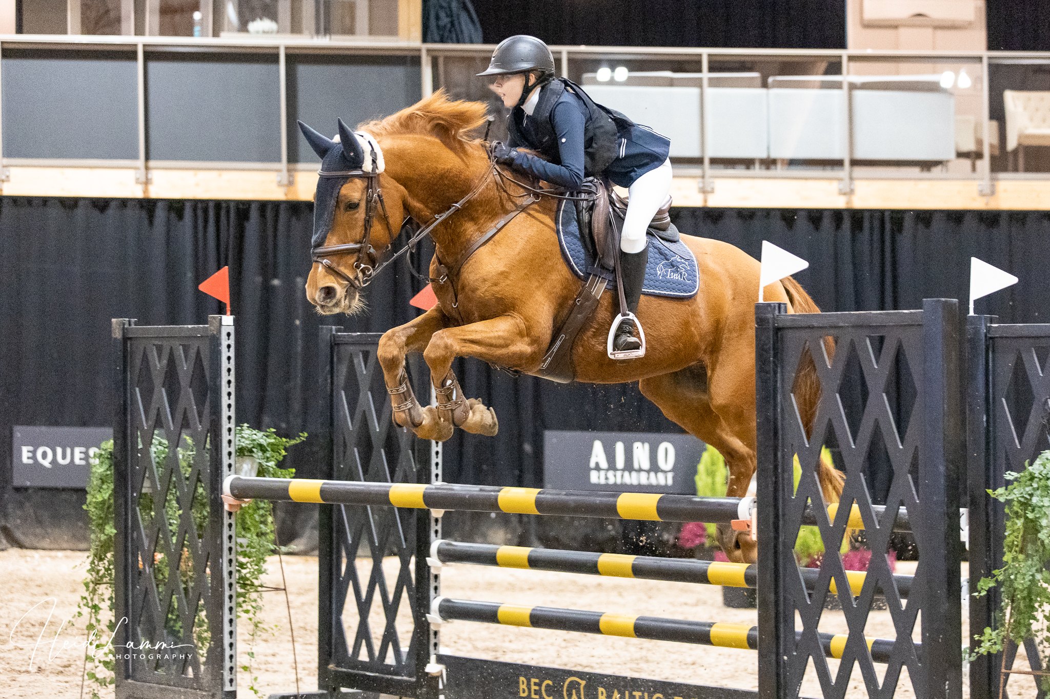 Esteratsastuskilpailut