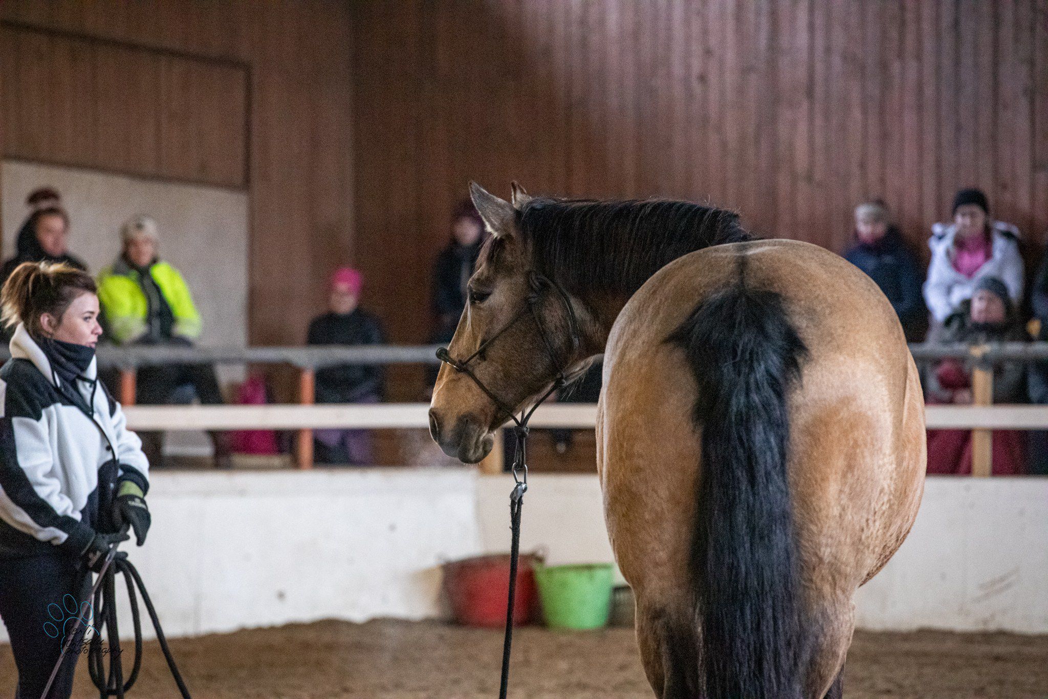 Maastakäsittelyklinikka