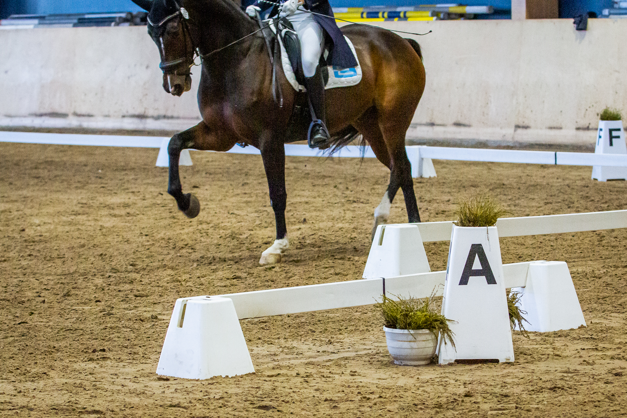 Koulurataharjoitukset by Butet Sellier / täynnä